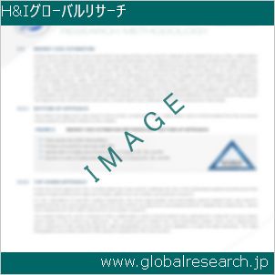 グローバルリサーチ調査レポートのイメージ